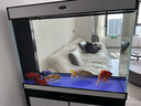 汉霸鱼缸客厅2026新款家用客厅落地底滤一体超白玻璃大型金鱼缸水族箱 黑+白 屏风100x40x155cm 实拍图