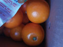 京喜加【双十一抢鲜】冰糖橙甜橙纯甜无酸水果 当季新鲜手剥橙现摘现发 带箱5斤60-70mm普箱 实拍图