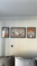 Sixpoetry 客厅装饰画现代简约沙发背景墙壁画轻奢三联晶瓷画大气高档挂画 福禄生花（铝合金外框） 晶瓷画左右35*50+中间70*50亮面 实拍图