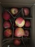冉沃优选甘肃大漠正宗冰糖心红富士苹果高原脆甜苹果新鲜当季水果整箱 75-80mm果径（净重4.5斤中果） 实拍图