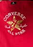 匡威Converse童装男女童加绒卫衣儿童休闲上衣 实拍图