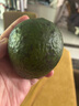 骑猴赶马云南牛油果当季新鲜水果鳄梨巨无霸森林奶油大果整箱送礼牛油果 单果150-180g【个个精选】 家庭 6个 实拍图
