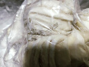 香馍小镇山东纯手工老面花卷馒头 早餐素食咸味千层花卷馒头90g*20个装 实拍图