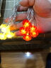 红灯笼小彩灯小夜灯喜庆喜事结婚庆祝电池神器闪灯串灯满天星家用喜庆节日灯饰 灯笼金色+红色2米【电池款】 实拍图