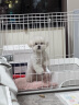贝初众狗狗厕所防踩屎中小型犬宠物尿盆狗沙砂盆狗拉屎神器泰迪柴犬马桶 白色15mm网格【3-5斤+铲子】 【容易清洗/分离设计/加高边框】 实拍图