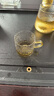 正扬玻璃茶具套装家用小套功夫茶杯简约透明红茶泡茶器办公室客厅喝茶 实拍图