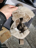达芙妮短靴女2024新款冬季加绒棉鞋中筒靴加厚棉靴冬靴防滑雪地靴女靴子 棕色 39 实拍图