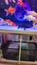 森森（SUNSUN）大型鱼缸底过滤水族箱客厅家用落地玻璃生态金鱼缸 【实时温显】1米长42cm宽（黑白灰可选） 实拍图