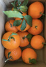 泰汇吃四川爱媛38号果冻橙 新鲜当季水果柑橘桔子时令 9斤（70-75MM）精选好果净4.5 实拍图