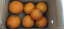 田良季赣南早脐橙手剥甜橙子【多地次日达】新鲜孕妇水果送礼品物双十一 净重9斤装【80%人的选择】 老树金钻果丨单果90mm+ 实拍图