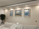 艺米客厅装饰画现代简约沙发背景墙画欧式餐厅挂画美式壁画 平安纳福（简约、欧式白框） 70X90*2-90X110cm|适用U型沙发 实拍图