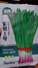 北蔬 韭菜种子苗宽叶紫红根独根红四季蔬菜籽 紫根1号种子100g(大袋) 实拍图