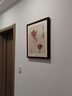 紫腾随轩齐白石装饰画新中式客厅背景墙面挂画卧室饭厅餐厅水墨虾壁画 荷花A款 50*50cm红木色实木框 实拍图