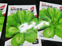 【今年新种】青香大叶茼蒿桐花菜大叶蓬蒿菜耐热皇帝菜火锅蔬菜 大叶茼蒿种子 买二包送一包约3000粒 实拍图