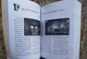 【可选】咬文嚼字合订本 上海文艺出版社 2024合订本 平装 实拍图