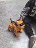 柏德士智能玩具狗儿童玩具男孩生日礼物3一6岁黑科技益智早教宝宝机器狗 AI智能机器狗-爱马橙 触摸+遥控+声控 实拍图