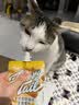 尾巴生活吸吸酱猪猪南瓜小黄泥口味80g/袋 补水全价主食餐包肉泥猫咪零食 实拍图