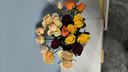 花点时间（Reflower）玫瑰花康乃馨百合鲜花云南昆明基源头直发睡莲剑兰向日葵鲜切花 【单头50cm玫瑰】彩虹色10枝（3种颜色） 实拍图