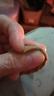 【百万销量】加粗高弹力基础发圈韩版简约扎头发毛巾头绳 毛巾圈花型随机-300根装 实拍图