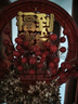 菲享新年装饰发光福字挂件春节挂饰彩灯花环灯过年氛围布置蛇年中国结 新年发光花环-福到我家【28cm】 【LED新年福字挂件-福到我家】 实拍图