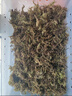 萌龟饲家乌龟冬眠用品巴西龟过冬椰土苔藓草沙土垫材保温冬眠窝乌龟冬眠箱 小号裸盒+装满椰土+苔藓 实拍图