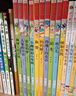 儿童文学名家经典书系（盒装10册 课文作家作品 树和喜鹊+雨点儿+阳光+沙滩上的童话+妈妈睡了+称赞+彩色的梦+小柳树和小枣树+大象的耳朵+枫树上的喜鹊 金波四季美文 实拍图