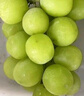 振亿沭云南阳光玫瑰葡萄 新鲜晴王无籽香印提子 当季时令孕妇新鲜水果 净重 3斤 单果8-10g【优选装】 实拍图