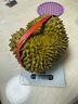 晨臻泰国进口金枕头榴莲鲜果新鲜水果 软糯香甜 金枕榴莲2.5-3斤 实拍图