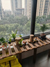 顾亲阳台窗台台沿加宽花架单层一层落地式窄阳台实木花盆架子定做定 长100宽25【台沿高度联系客服备注】 实拍图