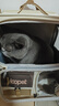 华元宠具（hoopet）猫包外出便携拉杆箱猫咪背包宠物双肩包坐车神器狗狗大容量行李箱 【热销推荐】双肩透气包（米棕） 实拍图
