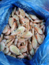 海唤熟冻北极虾 北极甜虾冰虾 即食甜虾 海鲜水产 年货送礼 海鲜礼盒 头籽 4斤(净重)  90-120/kg 礼盒装 实拍图