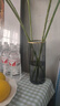 乔时姿简约北欧风透明花瓶轻奢直筒玻璃花瓶水养富贵竹百合花插花瓶摆件 直筒灰描金 (不含花) 25* 10cm 实拍图
