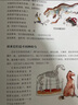 物种起源（少儿彩绘新版）/少儿万有经典文库系列   实拍图