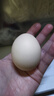 柴小旦农家散养五谷喂养新鲜土鸡蛋单枚 15枚装 实拍图