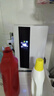 扬子（YANGZI)除湿机家用小型卧室吸湿器地下室内干燥机客厅除潮抽湿机静音卫生间除湿器防潮神器CS10E 1L/天 20-40㎡ CS10E机械款 实拍图
