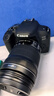 佳能/Canon 600D 700D 750D 760D 800D 二手单反相机新手入门旅游高清相机 800D+18-135 IS STM【套机】 99新 实拍图