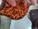 滇中拾味云南干虫草花干货正宗正品特级新鲜菌菇火锅食材炖汤蛹虫草菇煲汤 云南虫草花500g袋装【净重批发】 实拍图