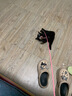 灵宠物语逗猫棒猫玩具4只装猫咪玩具小猫玩具自嗨神器逗猫玩具自嗨棒 实拍图