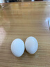均鲜大个种鸽蛋礼盒装新鲜鸽子蛋杂粮喂养养殖信鸽蛋白鸽蛋孕妇宝宝 20枚 450g 大个种鸽蛋 实拍图