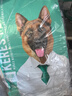 凯锐思 德牧狗粮大型犬粮专用幼犬成犬大型犬警犬狼狗牧羊犬专用粮 【骨骼强健】德牧羊奶味4斤 实拍图