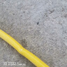 JUXBUSH家用高压水枪洗车水枪水管软管组合汽车用品刷车浇花神器喷头套装 聚压水枪【10米管+塑料快接套】 实拍图