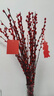 【红色招财银柳】干花真花鲜枝耐寒年宵花水培花卉室内摆放装饰花 60厘米【30支】送灯笼 实拍图