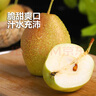 华北强（HUABEIQIANG）陕西早酥梨当季新鲜孕妇水果酥脆可口梨子酥梨汁水丰富整箱批发 净重4.5斤装 实拍图