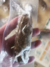 康悦堂大连底播即食海参正宗新鲜辽刺参海参礼盒独立包装海鲜水产 大连即食7A参500g【20-25只】 实拍图