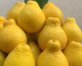 柚满园【纯甜不酸】梅州沙田柚子正宗特产广东金柚碌柚新鲜水果沙甜柚 大果带包装50斤15-22个 实拍图