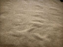 云羊驼色羊毛毯加厚保暖防潮家用纯羊毛盖毯宿舍午睡纯色床上毯子冬季 驼色 100%羊毛 150*200cm   3.6斤 实拍图