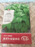 寿禾 猫薄荷种子苗可食用四季香草籽 潍丰柠檬猫薄荷种子3g约4800粒 实拍图