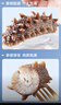久年 大连即食海参 深海冷冻辽刺参京东官方旗舰店 生鲜海鲜水产礼盒 1000g 12-18头 礼盒 实拍图