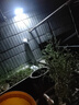 远盛达太阳能照明灯户外庭院灯家用投光灯光伏太阳灯室外防水路灯大功率 纳米透镜50000-W+照500㎡+5米线 升级加强高配置+电量显示 实拍图