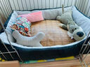 珑小宠狗窝猫窝宠物窝舒适透气四季通用泰迪大型犬小型犬中型犬狗垫子 灰色小号 56*46*15 建议15斤内 实拍图